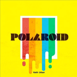 <span class="mw-page-title-main">Polaroid (Keith Urban song)</span> 2020 song by Keith Urban