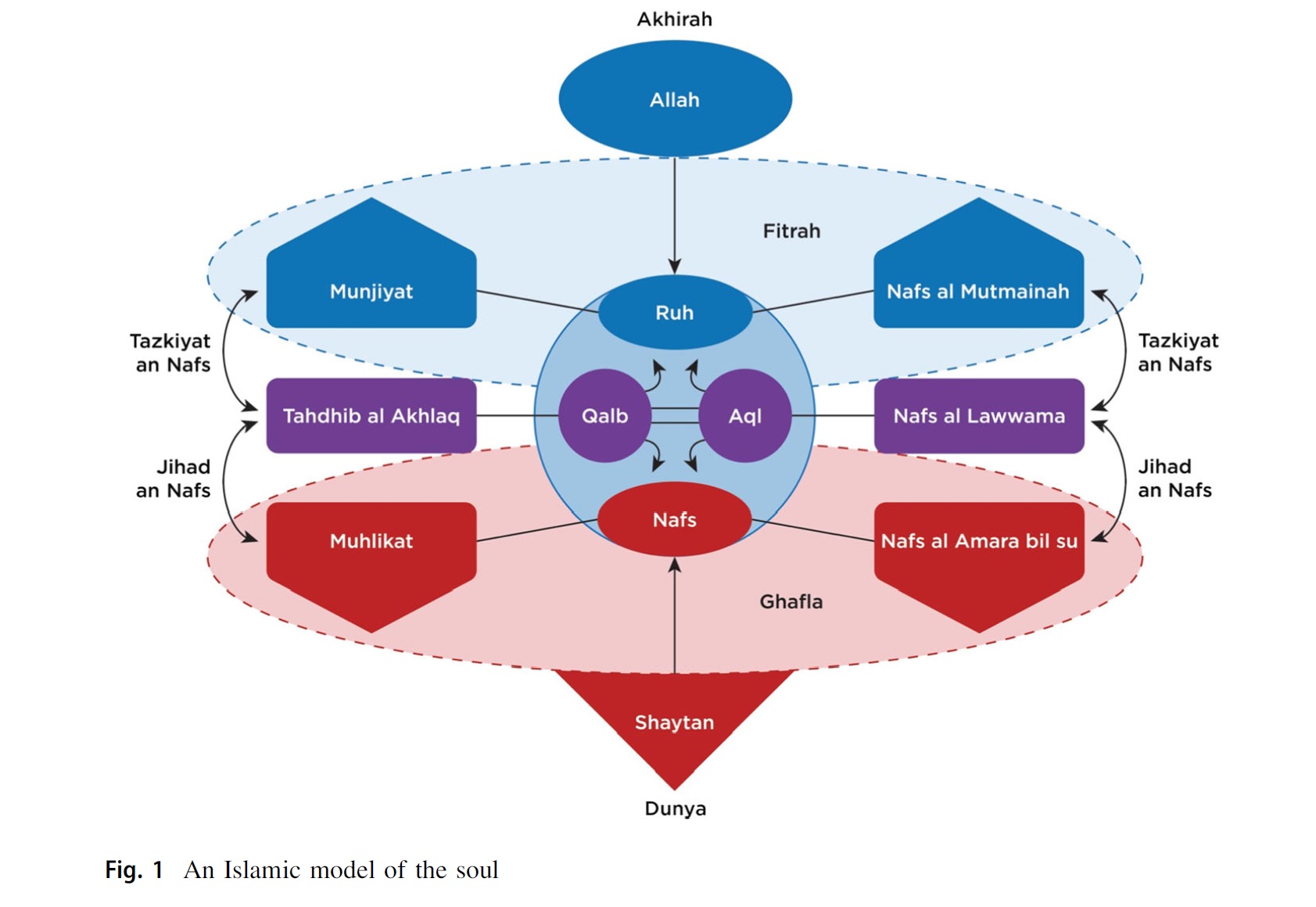 The journey of a Muslim believer (soul) after death – Islamic beliefs  according to hadith