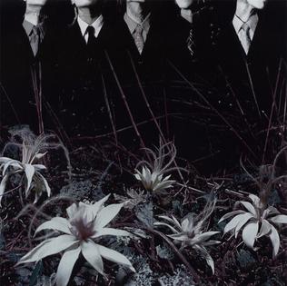 <span class="mw-page-title-main">Ain't Afraid to Die</span> 2001 single by Dir En Grey