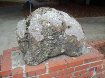 File:Bison sculpture, University of Oregon, 2015.jpg