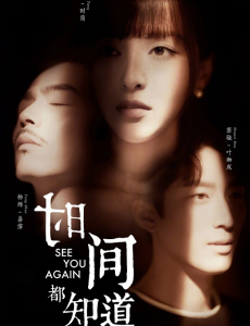 <i>See You Again</i> (TV series) Chinese TV series or program