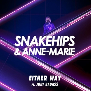 Either Way (Snakehips and Anne-Marie song) 2017 single by Snakehips and Anne-Marie featuring Joey Badass