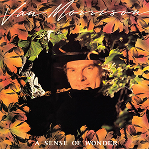 <i>A Sense of Wonder</i> 1985 studio album by Van Morrison