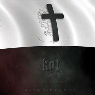 <i>Biało-czarna</i> 2011 studio album by Kat & Roman Kostrzewski