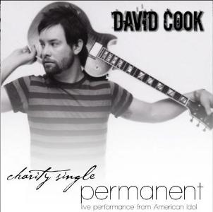 <span class="mw-page-title-main">Permanent (song)</span> 2009 single by David Cook