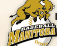 <span class="mw-page-title-main">Baseball Manitoba</span> Canadian governing body for baseball