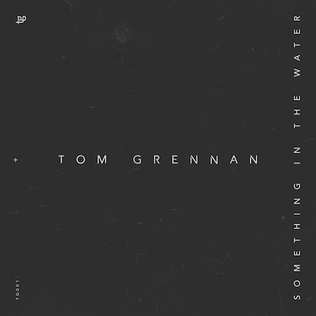 <span class="mw-page-title-main">Something In the Water (Tom Grennan song)</span> 2016 single by Tom Grennan