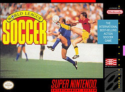 <i>World League Soccer</i> 1991 video game