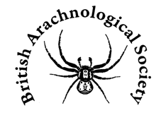 File:British Arachnological Society logo.png