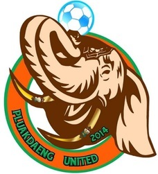 Pluakdaeng Rayong United F.C. Association football club