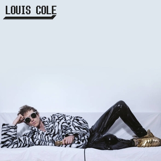 <i>Quality Over Opinion</i> 2022 studio album by Louis Cole
