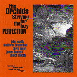 <i>Striving for the Lazy Perfection</i> 1994 studio album by The Orchids
