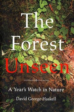 The Forest Unseen Wikipedia