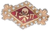 <span class="mw-page-title-main">Iota Alpha Pi</span>