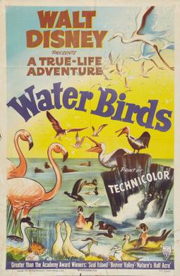 File:Water Birds FilmPoster.jpeg