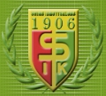 <span class="mw-page-title-main">Svegs IK</span> Swedish football club