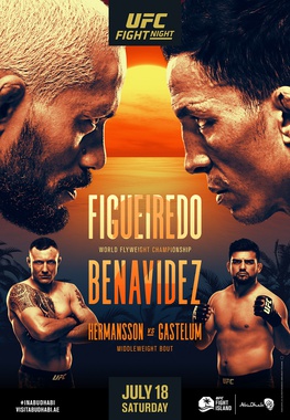 ufc 173 poster