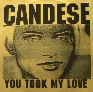 You Took My Love 1991 single by Candese