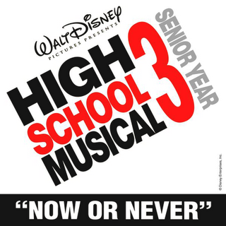 Now or Never (<i>High School Musical</i> song) 2008 single by High School Musical 3 cast