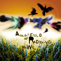 <i>A Golden Field of Radioactive Crows</i> 2001 studio album by The 77s