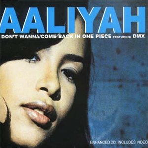 <span class="mw-page-title-main">I Don't Wanna (Aaliyah song)</span> 2000 single by Aaliyah