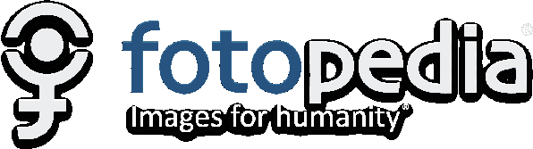 File:Logo fotopedia.png