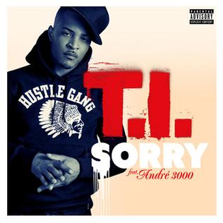 <span class="mw-page-title-main">Sorry (T.I. song)</span> 2012 single by T.I. featuring André 3000