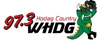 WHDG logosu