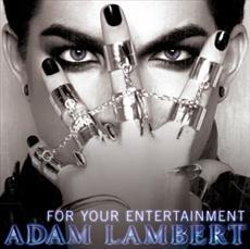 <span class="mw-page-title-main">For Your Entertainment (song)</span> 2009 single by Adam Lambert