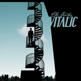<i>OK Cowboy</i> 2005 studio album by Vitalic