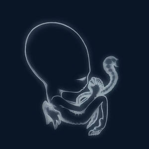 gætisByrjunCover.JPG