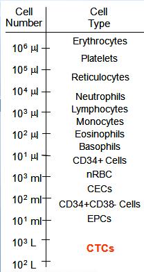 File:FrequencyOfCTCinBlood.JPG