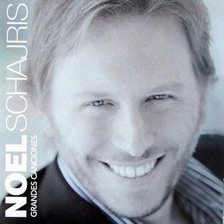 <i>Grandes Canciones</i> (Noel Schajris album) 2011 studio album by Noel Schajris