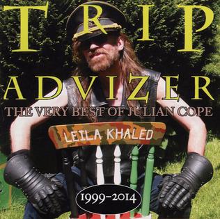 <i>Trip Advizer – The Very Best of Julian Cope 1999–2014</i> 2015 compilation album by Julian Cope