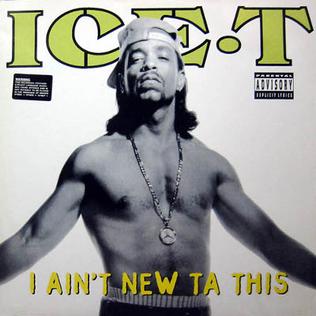 <span class="mw-page-title-main">I Ain't New Ta This</span> 1993 single by Ice-T