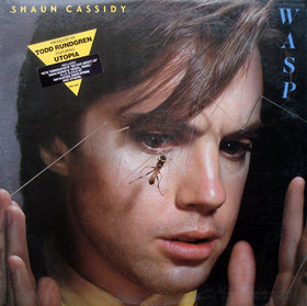 <i>Wasp</i> (album) 1980 studio album by Shaun Cassidy