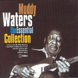 <i>The Essential Collection</i> (Muddy Waters album) 2000 compilation album by Muddy Waters