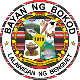 File:Bokod Benguet.png