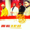 In My Bed 1996 single by Dru Hill