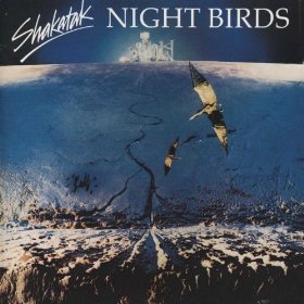 9 Birds That Sing at Night