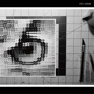 <i>Adapt</i> (Sakanaction album) 2022 studio album by Sakanaction