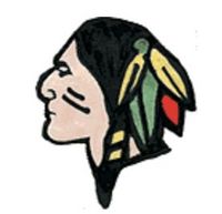 Tavistock Braves Hockey Club