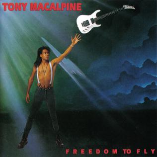 <i>Freedom to Fly</i> 1992 studio album by Tony MacAlpine