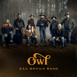 <i>The Owl</i> (album) 2019 studio album by Zac Brown Band