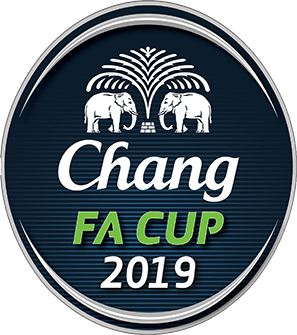 <span class="mw-page-title-main">2019 Thai FA Cup</span> Football tournament season