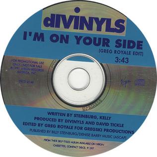 <span class="mw-page-title-main">I'm on Your Side (song)</span> 1991 single by Divinyls