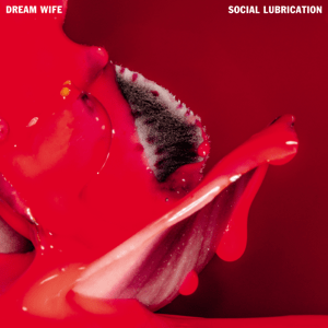 <i>Social Lubrication</i> 2023 studio album by Dream Wife