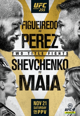 <span class="mw-page-title-main">UFC 255</span> UFC mixed martial arts event in 2020