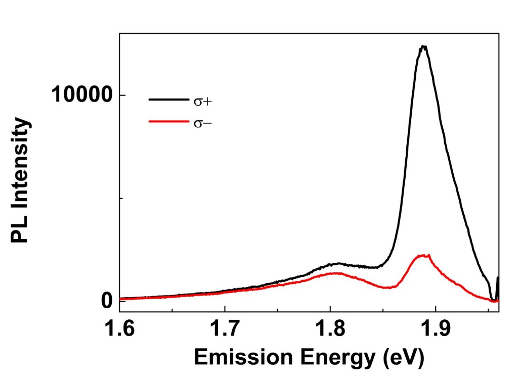 File Pl Monolayer Mos2 Jpg Wikipedia