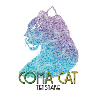 <span class="mw-page-title-main">Coma Cat</span> 2010 single by Tensnake